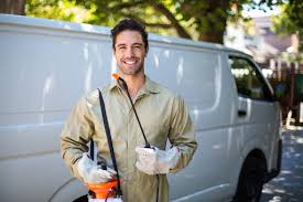 Best Residential Pest Control  in Ada, MN